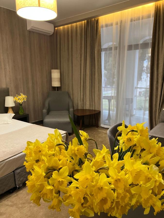 Abaash Hotel Afon New Athos Kültér fotó
