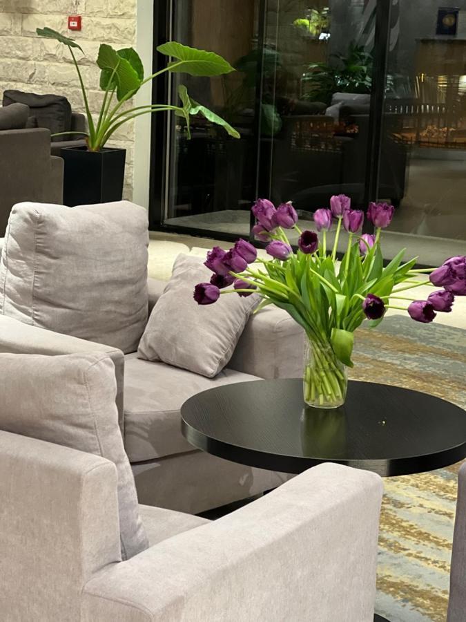 Abaash Hotel Afon New Athos Kültér fotó